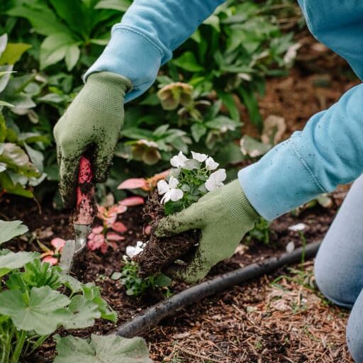 unrecognizable-woman-gardening